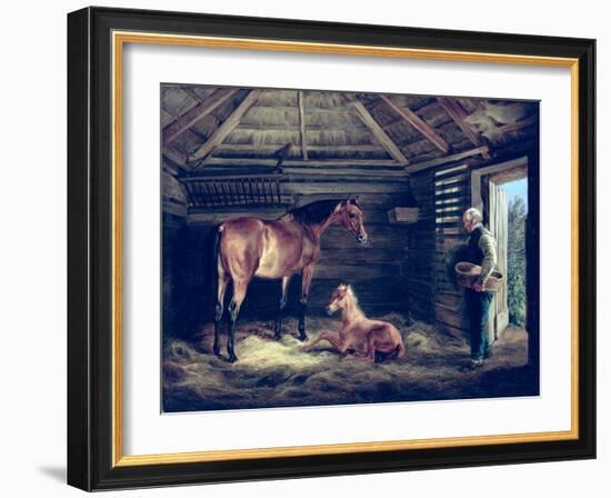 English Mare with Her Foals, 1833-Albrecht Adam-Framed Giclee Print