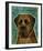 English Mastiff (Brindle)-John Golden-Framed Giclee Print