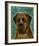 English Mastiff (Brindle)-John Golden-Framed Giclee Print