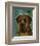 English Mastiff (Brindle)-John W^ Golden-Framed Art Print