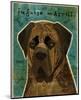 English Mastiff (Brindle)-John W^ Golden-Mounted Art Print