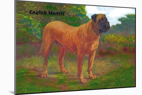 English Mastiff Champion-null-Mounted Art Print