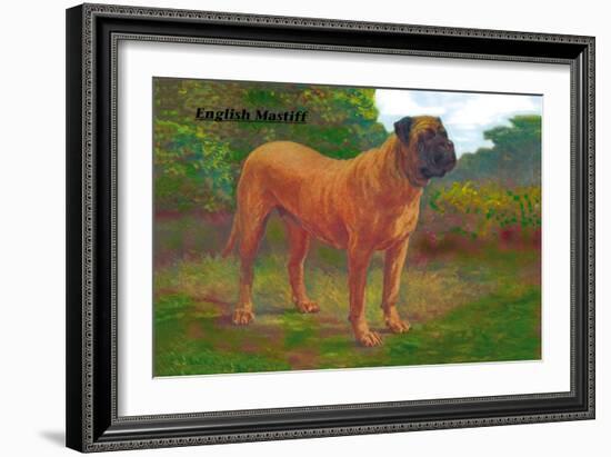 English Mastiff Champion-null-Framed Art Print