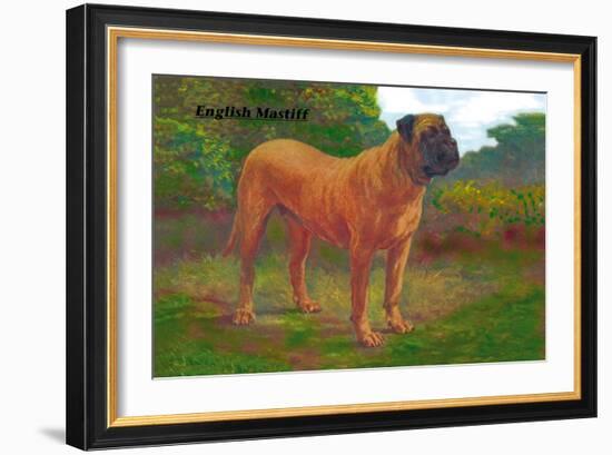 English Mastiff Champion-null-Framed Art Print