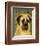 English Mastiff-John Golden-Framed Giclee Print