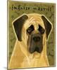 English Mastiff-John Golden-Mounted Giclee Print