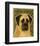 English Mastiff-John W^ Golden-Framed Art Print