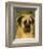 English Mastiff-John W^ Golden-Framed Art Print