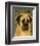 English Mastiff-John W^ Golden-Framed Art Print