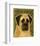 English Mastiff-John W^ Golden-Framed Art Print