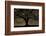 English Oak Tree (Quercus Robur) in Moonlight, Nauroth, Germany, February-Solvin Zankl-Framed Photographic Print