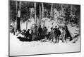 Photographic Print