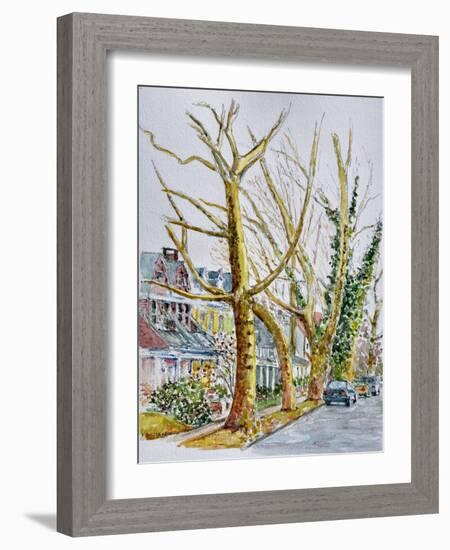 English Plane Trees,NYC, 2015-Anthony Butera-Framed Giclee Print