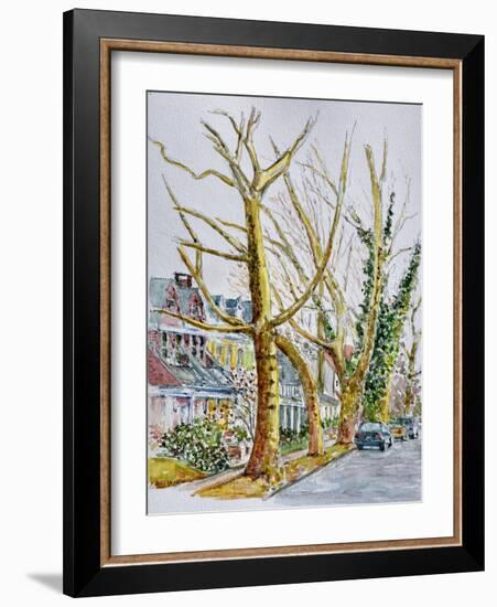 English Plane Trees,NYC, 2015-Anthony Butera-Framed Giclee Print