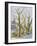 English Plane Trees,NYC, 2015-Anthony Butera-Framed Giclee Print