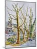 English Plane Trees,NYC, 2015-Anthony Butera-Mounted Giclee Print