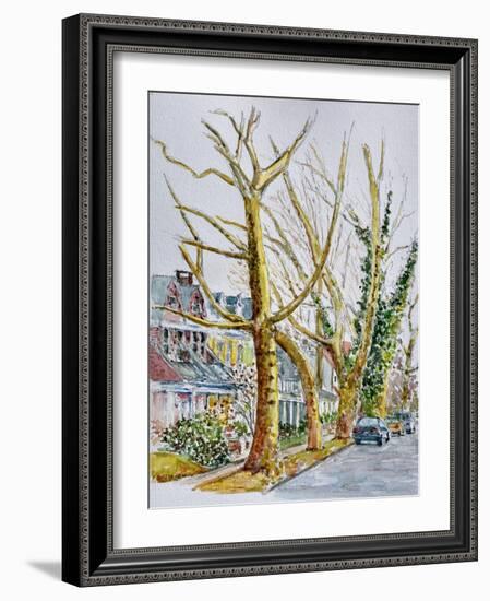 English Plane Trees,NYC, 2015-Anthony Butera-Framed Giclee Print