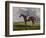 English Racehorses-J. Ferneley-Framed Premium Giclee Print