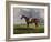 English Racehorses-J. Ferneley-Framed Giclee Print