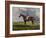 English Racehorses-J. Ferneley-Framed Giclee Print