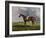 English Racehorses-J. Ferneley-Framed Giclee Print