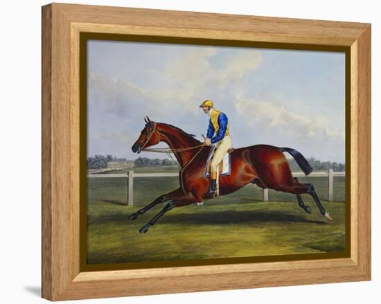 English Racehorses-C. Duncan-Framed Premier Image Canvas