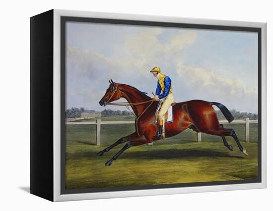 English Racehorses-C. Duncan-Framed Premier Image Canvas