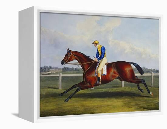 English Racehorses-C. Duncan-Framed Premier Image Canvas