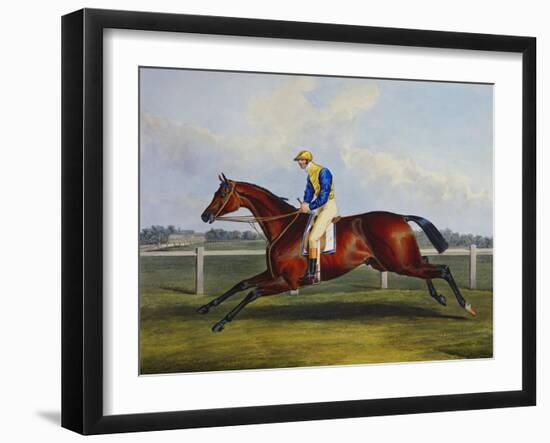 English Racehorses-C. Duncan-Framed Giclee Print