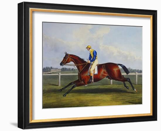 English Racehorses-C. Duncan-Framed Giclee Print