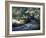 English River-Richard Willis-Framed Giclee Print