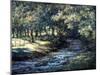 English River-Richard Willis-Mounted Giclee Print