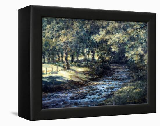 English River-Richard Willis-Framed Premier Image Canvas