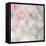 English Rose I-Doug Chinnery-Framed Premier Image Canvas