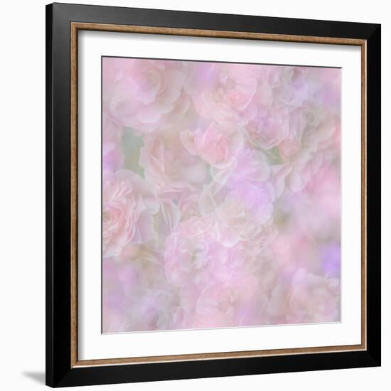 English Rose II-Doug Chinnery-Framed Photographic Print