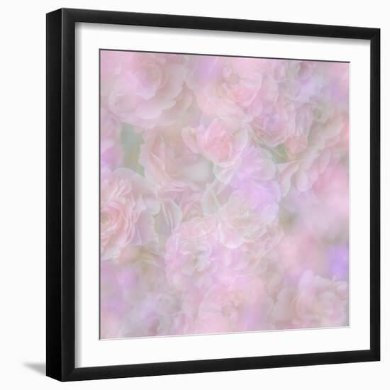 English Rose II-Doug Chinnery-Framed Photographic Print