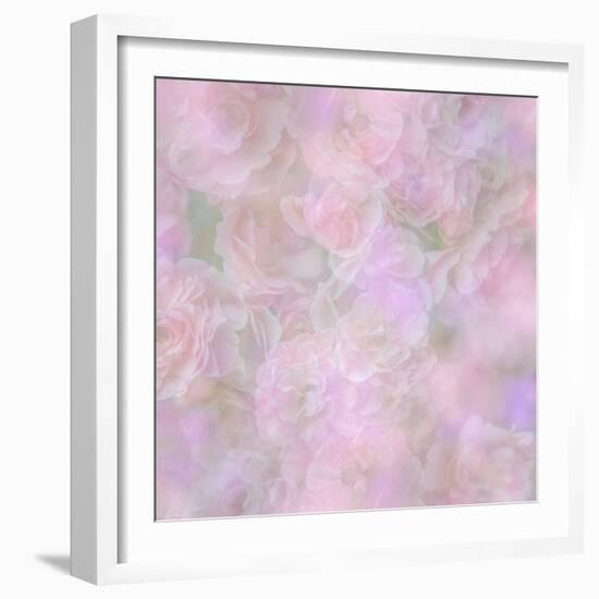 English Rose II-Doug Chinnery-Framed Photographic Print