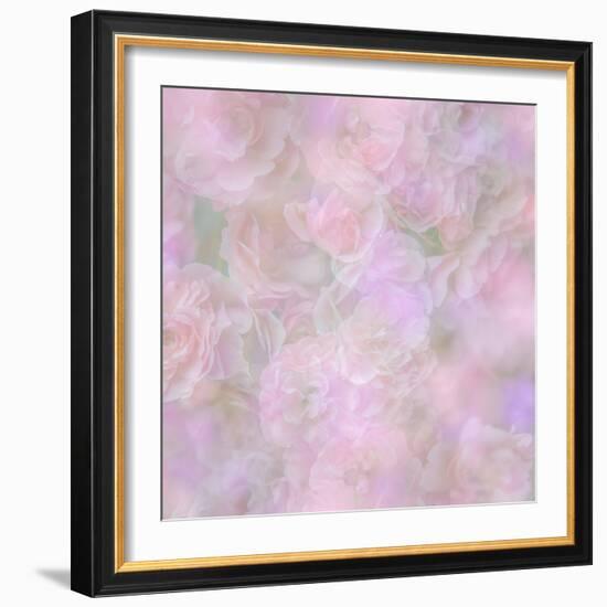 English Rose II-Doug Chinnery-Framed Photographic Print