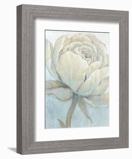 English Rose II-Tim O'toole-Framed Art Print