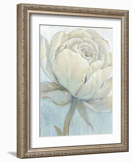 English Rose II-Tim O'toole-Framed Art Print