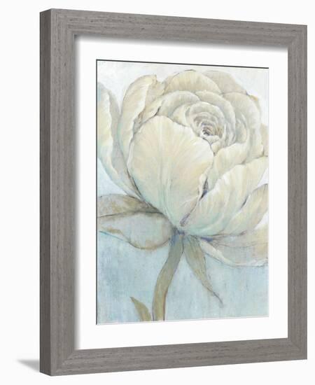 English Rose II-Tim O'toole-Framed Art Print