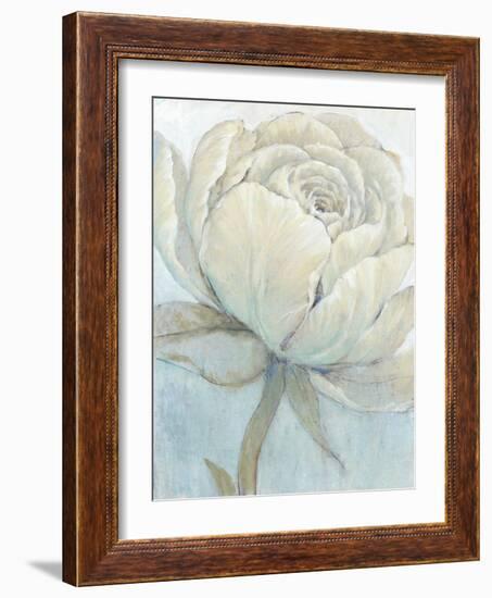 English Rose II-Tim O'toole-Framed Art Print