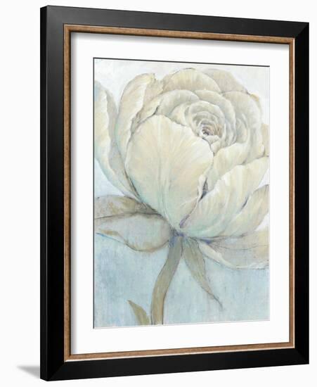 English Rose II-Tim O'toole-Framed Art Print