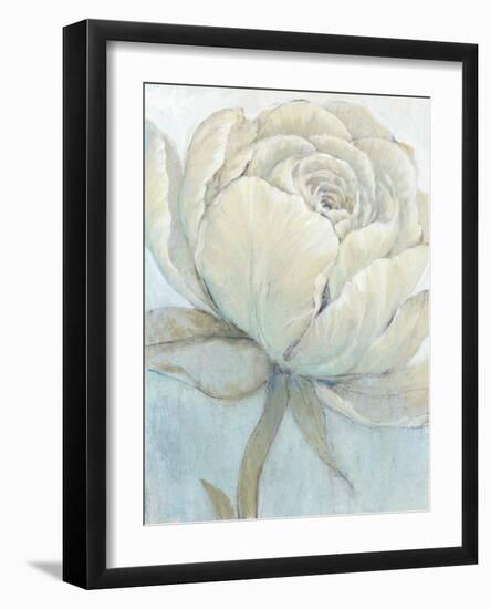 English Rose II-Tim O'toole-Framed Art Print