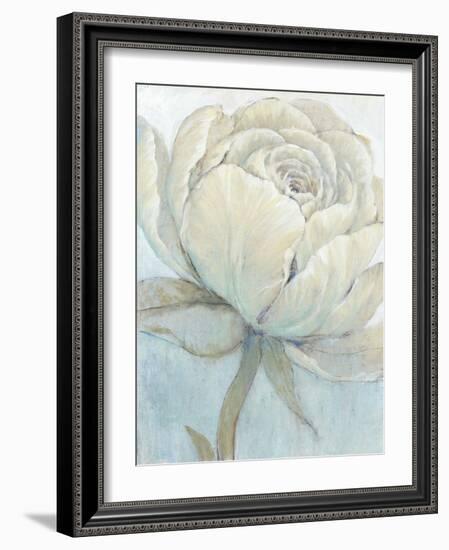 English Rose II-Tim O'toole-Framed Art Print