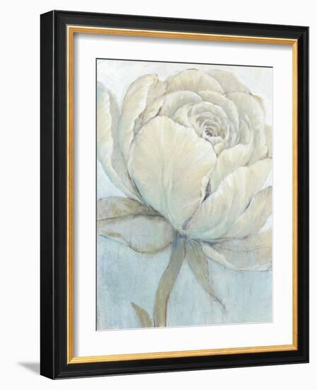 English Rose II-Tim O'toole-Framed Art Print