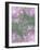 English Rose III-Doug Chinnery-Framed Photographic Print