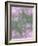 English Rose III-Doug Chinnery-Framed Photographic Print