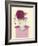 English Rose-Marilyn Robertson-Framed Giclee Print