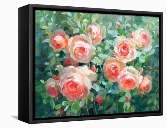 English Roses-Danhui Nai-Framed Stretched Canvas